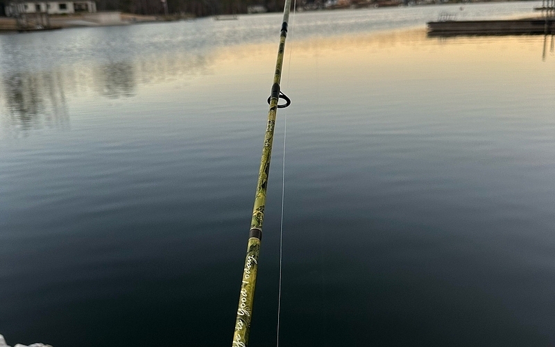 Top Things to Do on Lake Murray This Spring