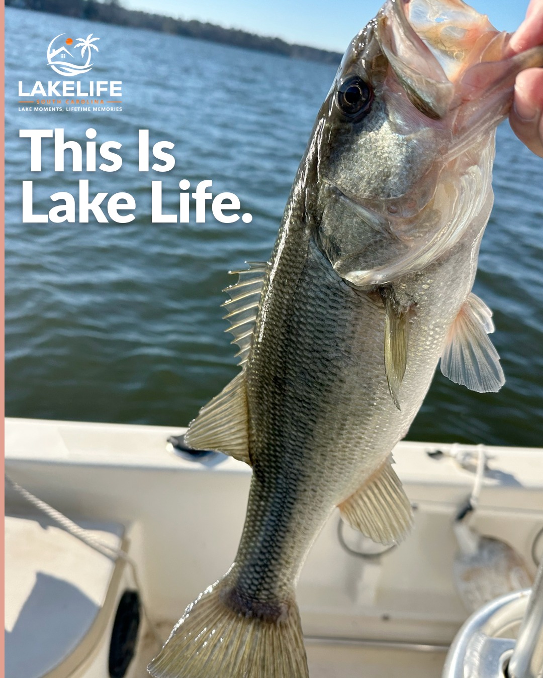 Top Hidden Gems Around Lake Murray Most Visitors Miss