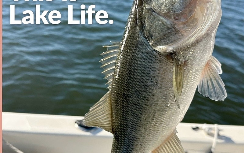 Top Hidden Gems Around Lake Murray Most Visitors Miss