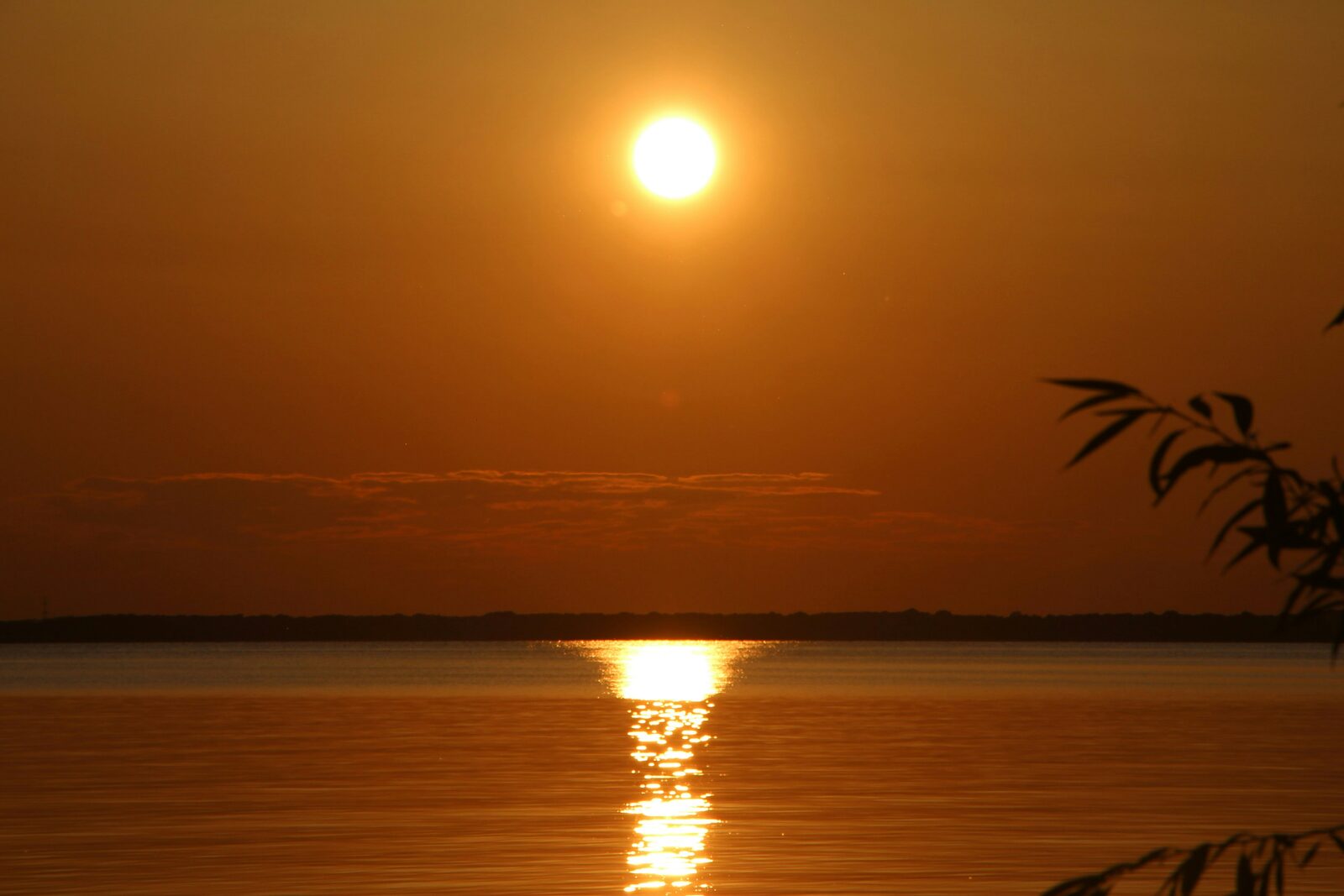 The Best Sunset Spots on Lake Murray for Your Summer Stay The Best Sunset Spots on Lake Murray for Your Summer Stay