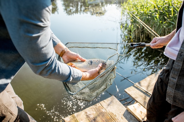 How to Make the Most of a June Fishing Trip at Lake Murray