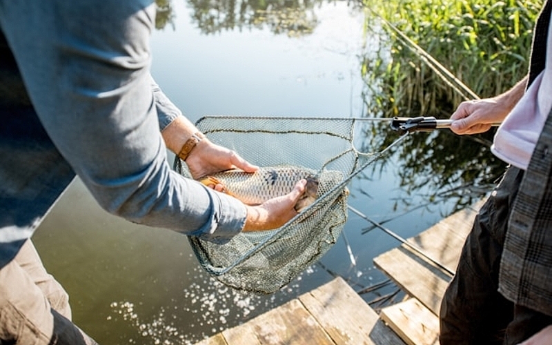 How to Make the Most of a June Fishing Trip at Lake Murray