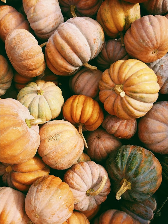 Fall Foliage on Lake Murray: The Best Scenic Spots to See Autumn Colors