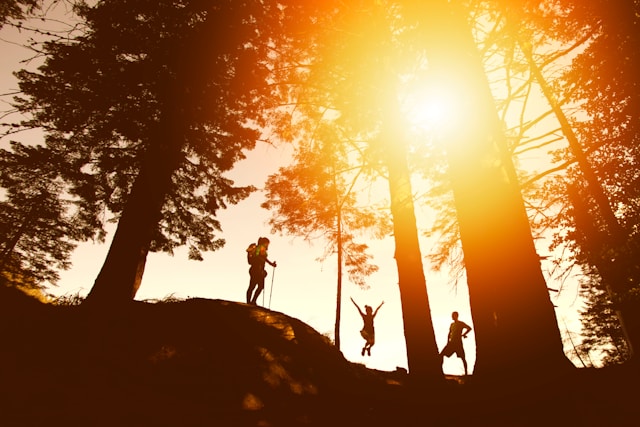 The Ultimate Guide to Fall Hiking Trails Around Lake Murray