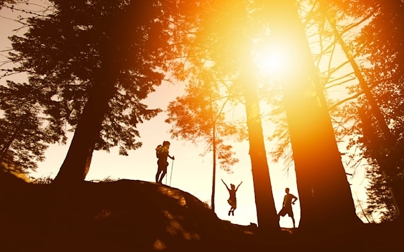 The Ultimate Guide to Fall Hiking Trails Around Lake Murray